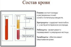 СОЭ – норма в крови у женщин, причины повышения
