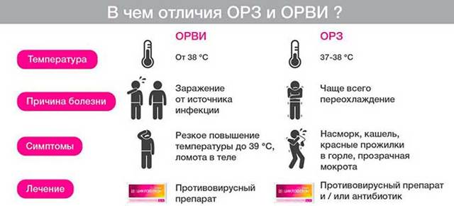 Пульс и давление при простуде
