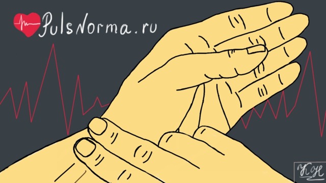 Нормальное сердцебиение в минуту у женщин: норма пульса по возрастам, учащенное сердцебиение