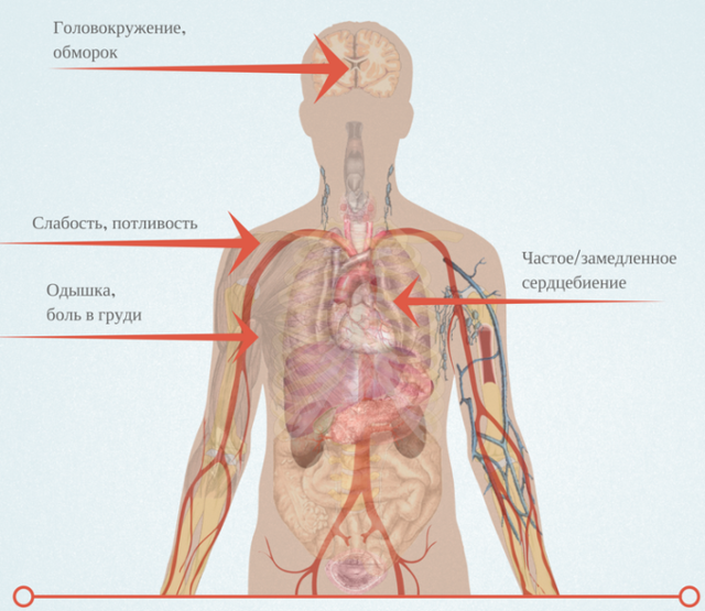 Как курение влияет на сердце человека: тахикардия, пульс, мерцательная аритмия