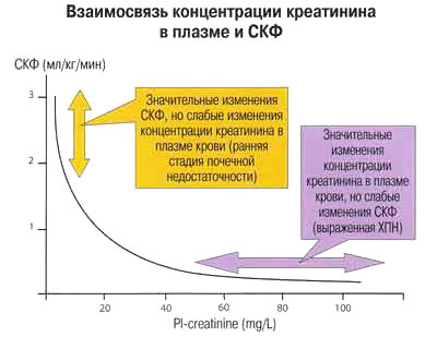 Норма мочевины и креатинина - Все про гипертонию