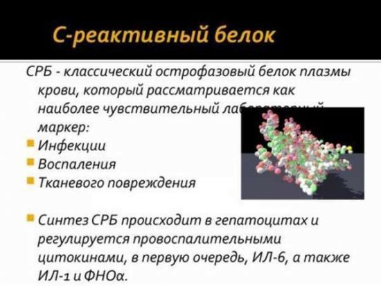 СРБ в крови – что это такое? С-реактивный белок – норма, повышен