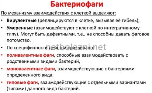 Бактериофаг аналоги цена отзывы инструкция по применению - Аналоги лекарств