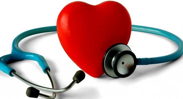 Сердце человека: анатомическое строение, функции, принцип работы