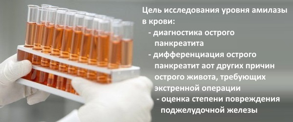 Альфа-амилаза в крови повышена