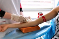 Расшифровка биохимического анализа крови – подготовка, проведение и анализ результатов