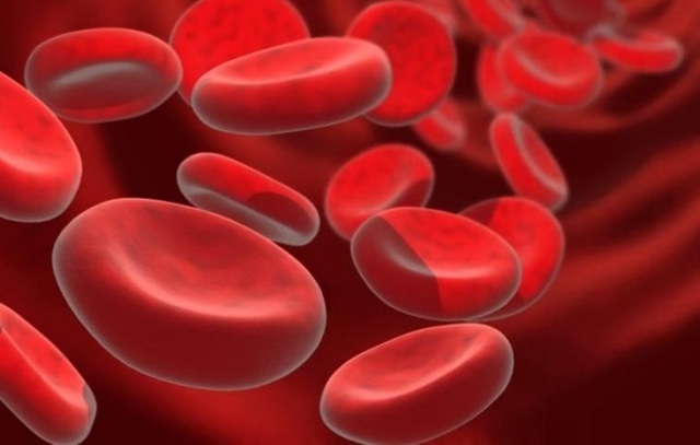 Какова норма билирубина в крови у взрослого человека? Основные показатели.