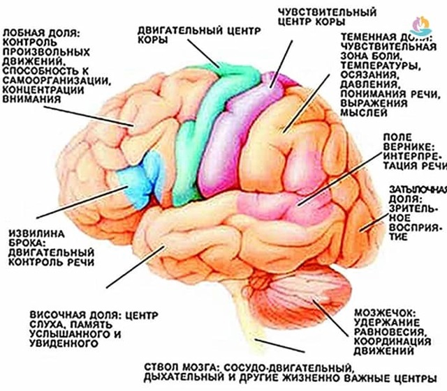 Ишемический инсульт: симптомы и лечение