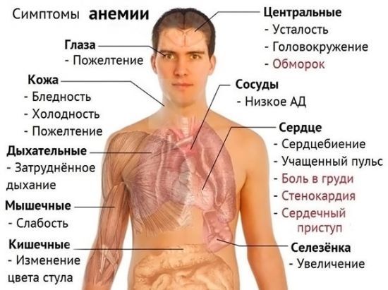 Мснс в анализе крови понижен причины