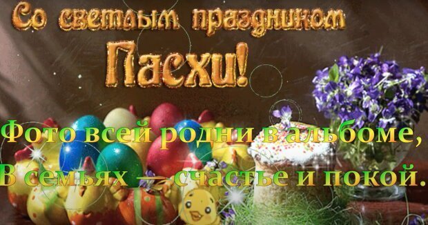 Коагулограмма – что это за анализ: подготовка, проведение, результаты — клиника «Добробут»