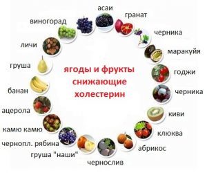 Гиперхолестеринемия: что это такое – диета при семейном типе