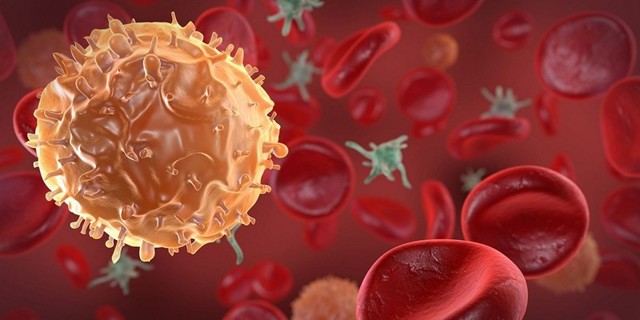 ЛИМФОЦИТЫ В КРОВИ У РЕБЕНКА ПОВЫШЕНЫ: [причины, лечение]