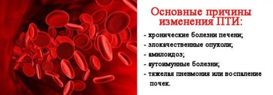 Анализ крови ПТИ - что это такое, нормы ПТИ