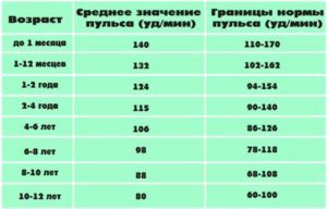 Сколько ударов должно биться сердце в минуту — Сердце