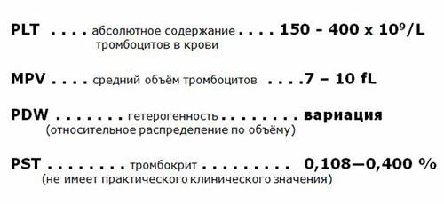 Тромбоциты - что это такое, норма, за что отвечают