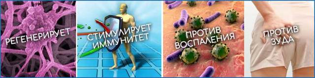 Мазь Постеризан от геморроя: показания, принцип действия, отзывы, аналоги и цены
