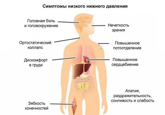 Малина повышает или понижает давление?