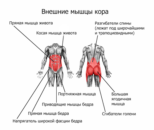 Польза от катания на роликах — Экстрим спорт