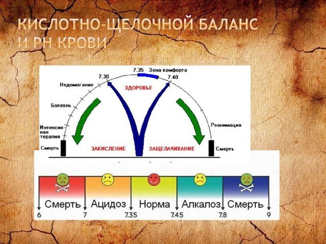 СОЭ: обозначение, норма, повышенный, пониженный, измерения