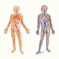 Васкулит мозга