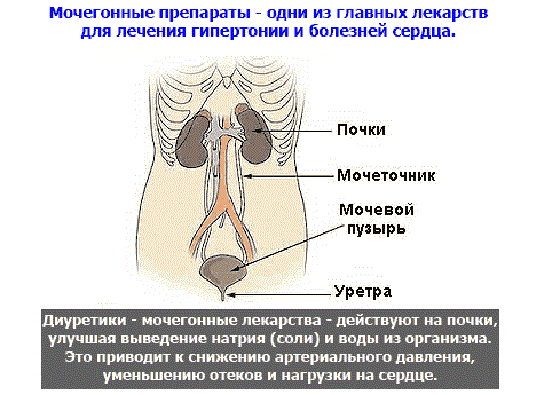 Норма натрия кальция калия в крови - Все про гипертонию