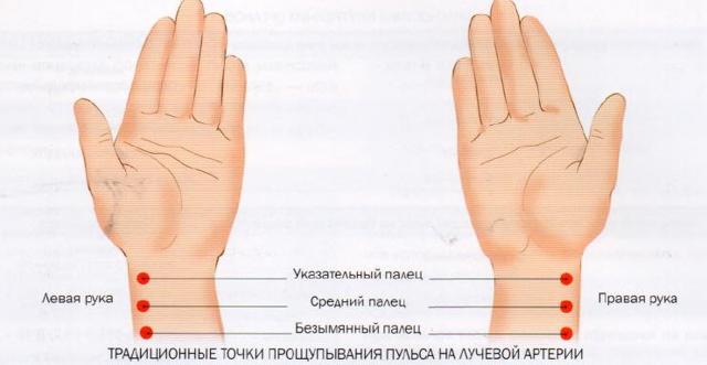 Пульс при ходьбе: норма у мужчин и женщин