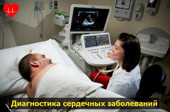 Сердце человека имеет камерное строение количество камер. Сколько камер присутствует в сердце человека