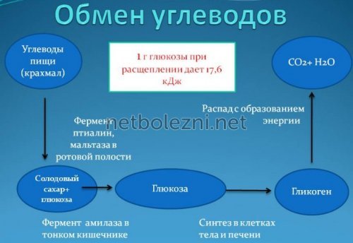 Уколы Дексаметазон: инструкция по применению внутримышечно