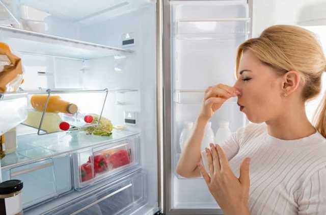 Как убрать запах из холодильника в домашних условиях легко и просто? Поверенные способы избавления от запаха из холодильника - Автор Екатерина Данилова