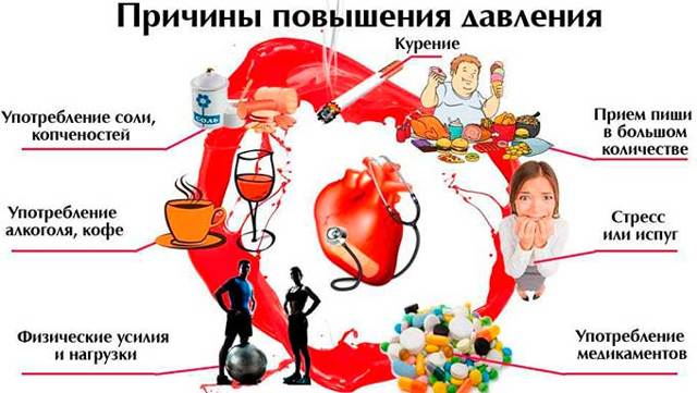 Колебание ад в течении суток. Как меняется артериальное давление в течение суток