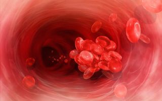 Как почистить сосуды в домашних условиях быстро и эффективно