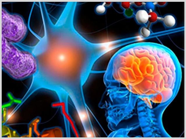 Глиоз головного мозга, что это такое, прогноз жизни, очаги в белом веществе