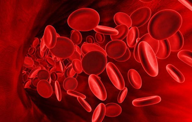 Показатели эритроцитов в крови. Норма, что значит повышенный и пониженный уровень эритроцитов