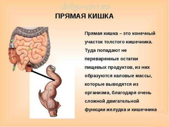 Диета при раке прямой кишки: питание после операции, до операции