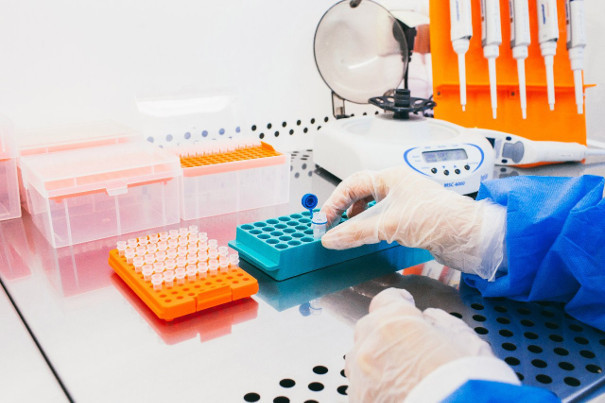 Как определять пол ребенка по крови - Ответы на все вопросы