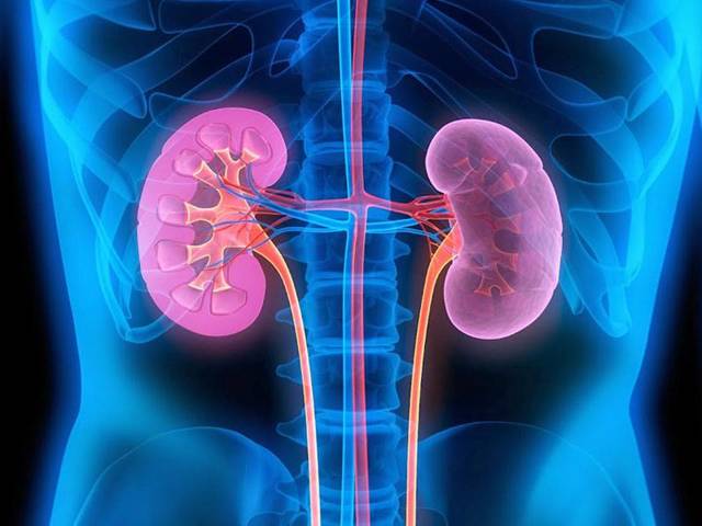 Пароксизмальная холодовая гемоглобинурия. Гемолитические анемии на почве изоиммунных тел.