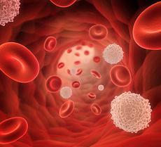 Лимфоциты повышены у взрослого, о чем это говорит? Причины повышенных лимфоцитов у взрослых