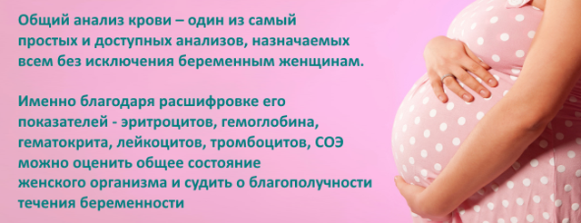 Норма лейкоцитов в крови у беременных и сдача анализа