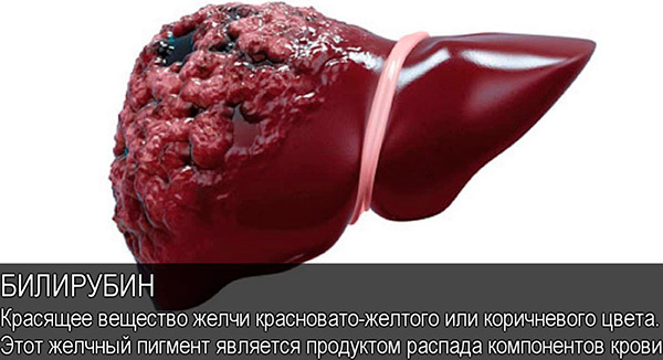 Питание при повышенном билирубине