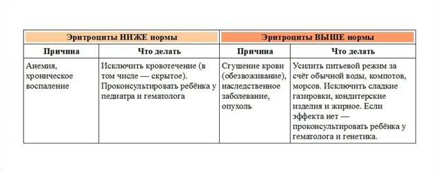 Общий анализ крови с формулой - расшифровка: норма и отклонение показателей