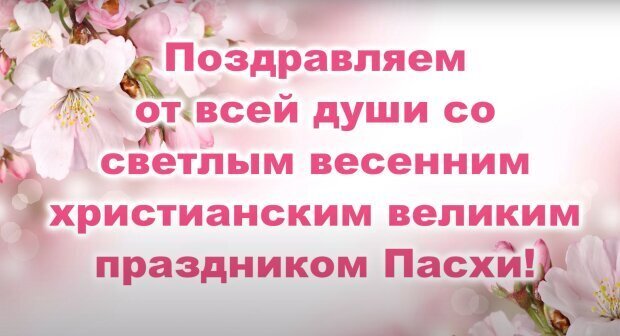 Коагулограмма – что это за анализ: подготовка, проведение, результаты — клиника «Добробут»