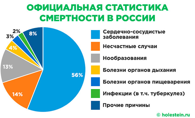 В сосудах бляшки: диагностика и терапия