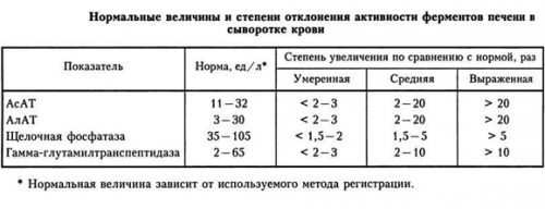 В сосудах бляшки: диагностика и терапия