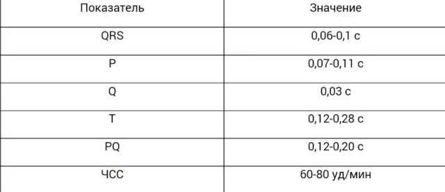 Онлайн-курс ЭКГ: ЧСС, способы ее подсчета