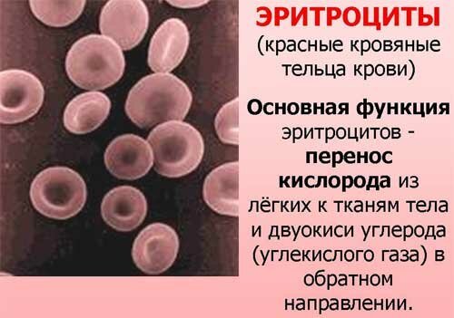 Может ли поменяться группа крови с возрастом и при беременности