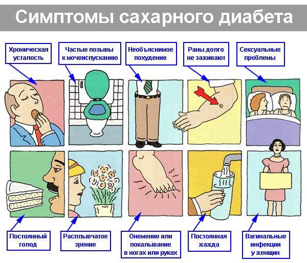 Группа крови 2 отрицательная