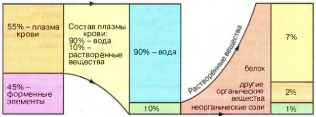 Кровь человека, состав и свойства крови