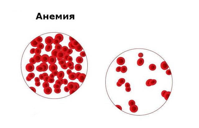 Цветовой показатель крови (ЦП)