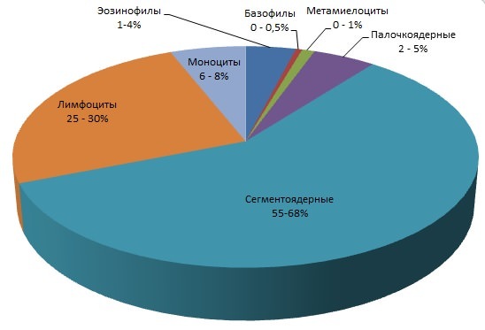 Что показывают лейкоциты в крови: норма и патология