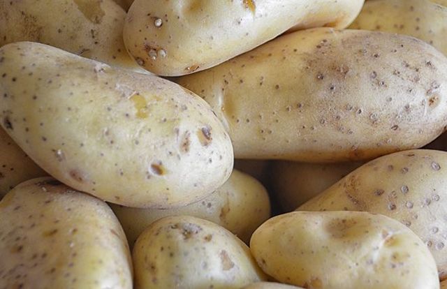 Лечение геморроя в домашних условиях быстро картофелем